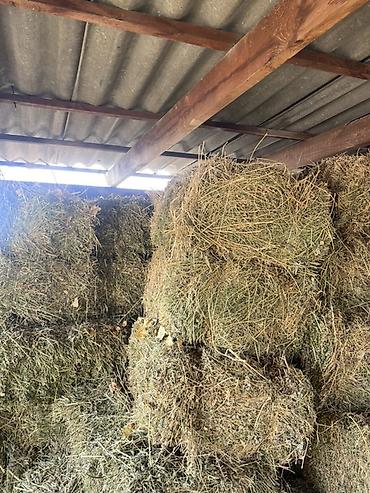 Корма для с/х животных: Сено в тюках - Прессованное сено в прямоугольных тюках, аккуратная — 8