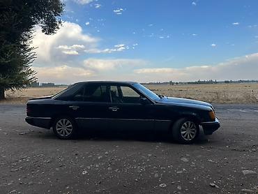 Унаа сатуу: Mercedes-Benz W124: 1987 г., 2.3 л, Кол менен иштөөчү, Бензин, Седан — 10