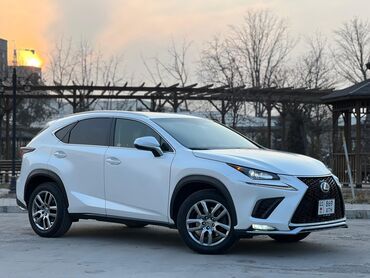 зимные: Lexus NX: 2016 г., 2.5 л, Автомат, Бензин, Кроссовер