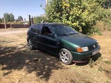 муссо спорт: Volkswagen Polo: 1999 г., Хэтчбэк — 7