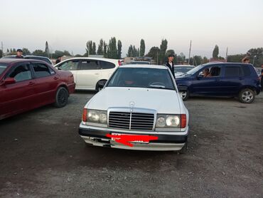 Mercedes-Benz: Mercedes-Benz W124: 1991 г., 2.9 л, Механика, Дизель, Универсал