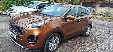 кроссовер kia: Kia Sportage: 2018 г., 2.4 л, Автомат, Бензин, Кроссовер — 1