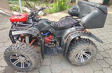 cfmoto купить: Квадроцикл Бензин, 250 куб. см, Взрослый — 3