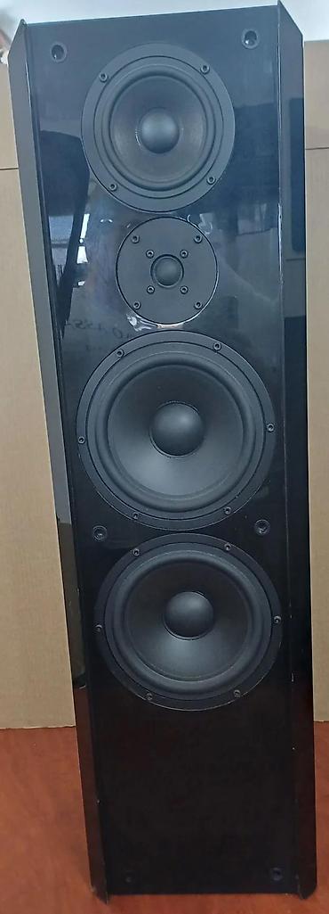 Zvučnici i stereo sistemi: ACR Isostatic RP152 - 150W-250W 4 Ohm - 25Hz-30kHz-92dB-W-1m. Hvala — 9
