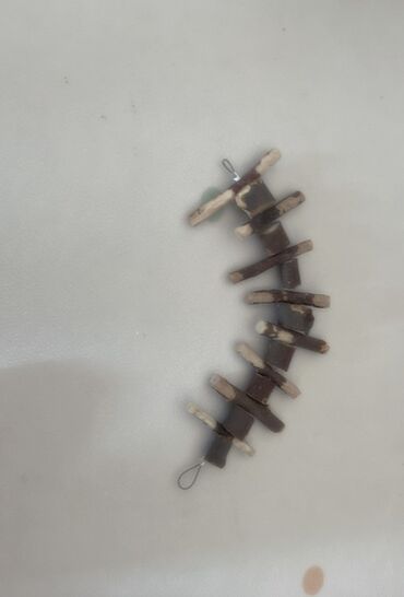 Декоративные кролики: Полный набор для содержания декоративного кролика. В комплекте: - — 14