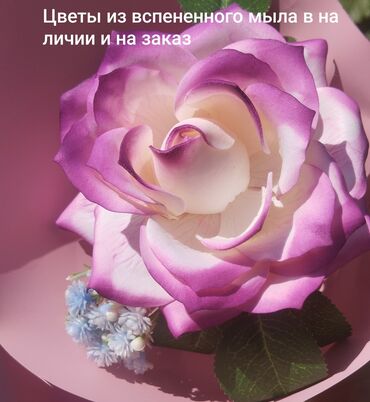 капельница золушка купить в аптеке цена: Цветы из вспененного мыла Корейского люкс качества.В наличии и на