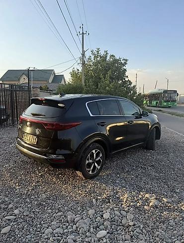 kia soltes: Kia Sportage: 2020 г., 2.4 л, Автомат, Бензин, Кроссовер — 4