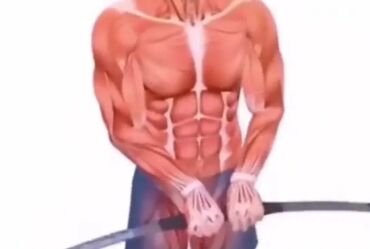 хромированные гантели: Гибкий вибрационный тренажёр «живая палка» для функциональных