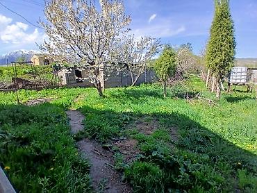 Продажа дач: Продаётся участок с небольшим одноэтажным домом и хозпостройками в — 7