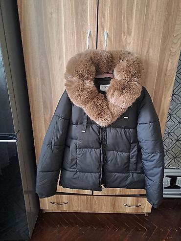 Kurtkalar: Puxovik kurtka, XL — 1