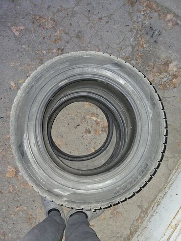 шины на трактор т 40 цена: Шины R 14, Зима, Комплект, Легковые, Dunlop