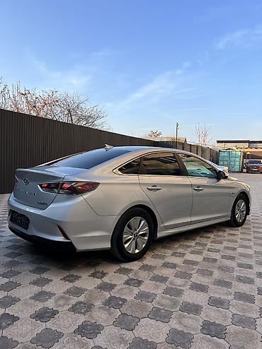 Hyundai: Hyundai Sonata: 2019 г., 2 л, Автомат, Гибрид, Седан at lalafo.kg — 4 Hyundai: Hyundai Sonata: 2019 г., 2 л, Автомат, Гибрид, Седан — 4