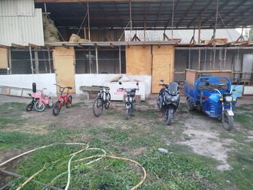 Другой транспорт: Срочно продаётся все