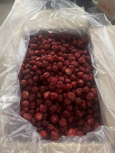 оптом мясо говядина: Замороженная клубника в коробках с полиэтиленовым вкладышем. Ягоды — 4