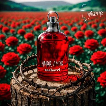 Ətriyyat: SR Perfume Gallery-nin növbəti ətir çeşidlərindən olan Amor Amor ətri
