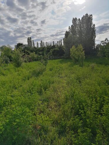 su masini: 24 sot, Tikinti, Mülkiyyətçi, Kupça (Çıxarış)