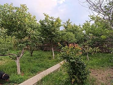 Продажа коттеджей и домов: ✅ Продается дом в Балыкчи (Иссык-Куль) ✅ 3 комнаты, участок 16 соток — 20