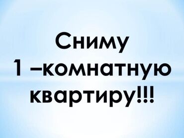 квара: 1 комната, 55 м², С мебелью