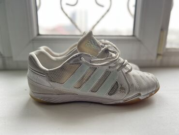 обувь белая: Зальники Adidas top sala 40 размер