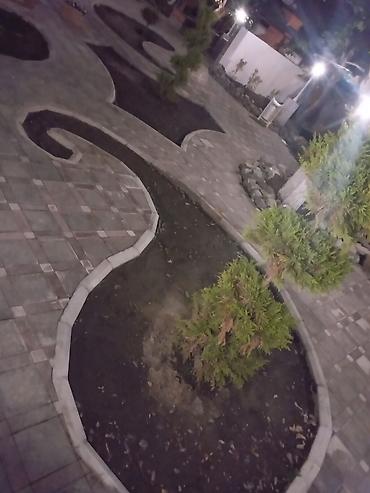 Tikinti işləri: Xidmət: Həyətyanı sahələrdə tam təmir və döşəmə işləri Təklif — 131