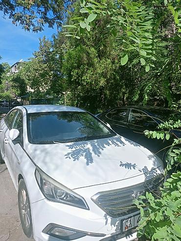 Hyundai Sonata: 2016 г., 2 л, Автомат, Бензин, Седан at lalafo.kg Hyundai Sonata: 2016 г., 2 л, Автомат, Бензин, Седан