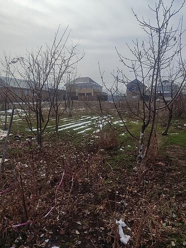 Продажа коттеджей и домов: Продается дом 8 соток 2 этажа на первом этаже зал кухня на втором 2 — 6