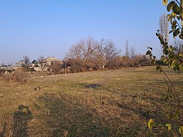 Torpaq sahələrinin satışı: 25 sot, Mülkiyyətçi — 6