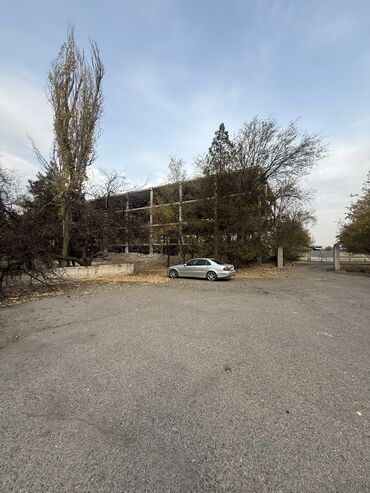 снять однокомнатную квартиру в бишкеке: 260 соток, Бизнес үчүн, Кызыл китеп, Сатып алуу-сатуу келишими