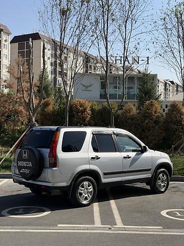 бу чехол: Honda CR-V: 2004 г., 2.4 л, Автомат, Бензин, Кроссовер — 2
