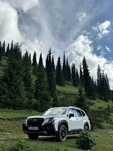 shevrole cruze: Subaru Forester: 2023 г., 2.5 л, Вариатор, Бензин, Кроссовер — 2