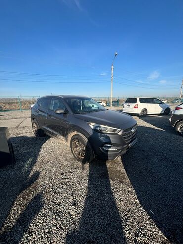 Hyundai: Hyundai Tucson: 2015 г., 1.7 л, Автомат, Дизель, Кроссовер