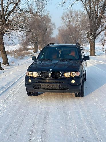 BMW: BMW X5: 2003 г., 3 л, Автомат, Дизель, Внедорожник — 1