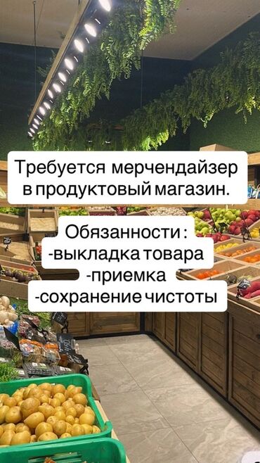 сборка бумажных пакетов на дому: Талап кылынат Мерчендайзер, Иш тартиби: Алты күндүк, Толук жумуш күнү, Тамактануу