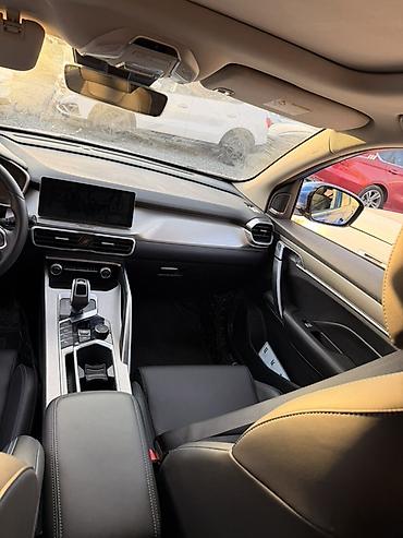 leopard 3: Geely Atlas Pro: 2020 г., 1.5 л, Автомат, Гибрид, Кроссовер — 8