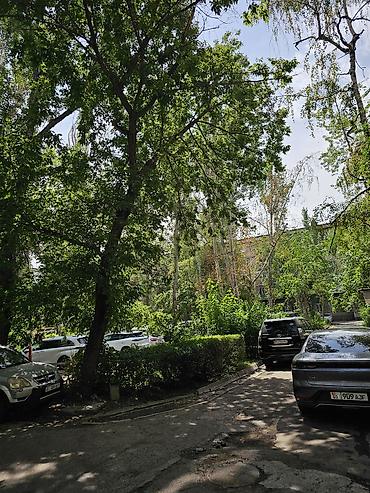 Продажа квартир: 4 комнаты, 109 м², Моссовет Индивидуалка, 5 этаж, Евроремонт — 24