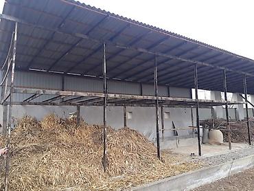 Сварка: Сварка Высотные работы — 31