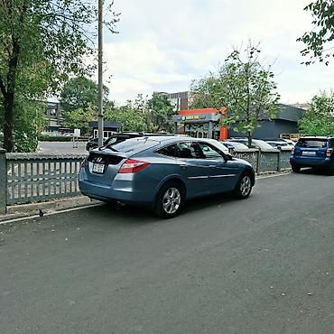 для хонды: Honda Crosstour: 2010 г., 3.5 л, Автомат, Бензин, Лифтбек — 6