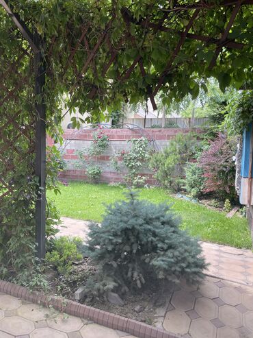 Отели и хостелы: 🏠 Продается дом (действующий хостел) рядом с мечетью Сарахси! 📍 — 2