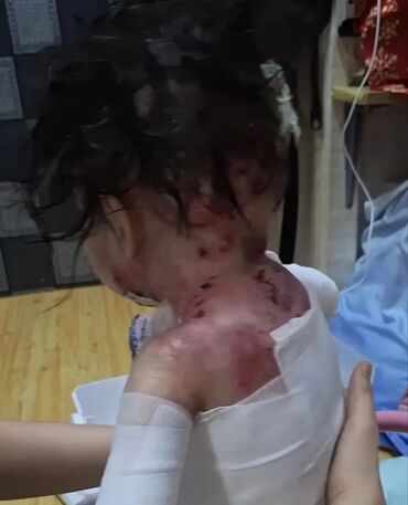 Офисы: Здравствуйте у нас беда помогите люди добрые в распространении