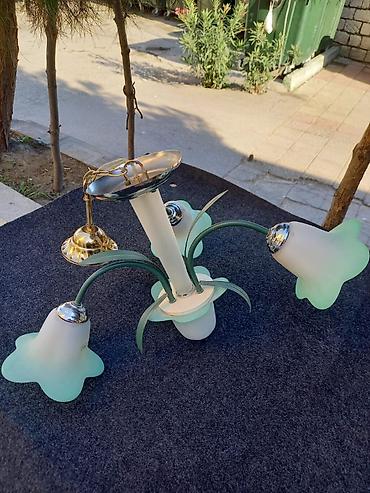 gull: Çılçıraq, 3 lampa, Şüşə — 2