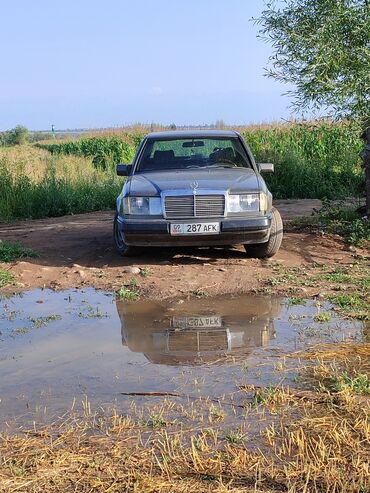 Mercedes-Benz: Mercedes-Benz W124: 1991 г., 2.3 л, Механика, Бензин, Седан