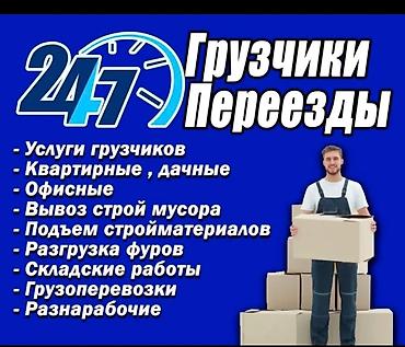 драбилка камен: Грузчик. Больше 6 лет опыта — 1