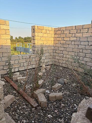 mal dili bitkisinin faydaları: Tikinti üçün natamam daş ev karkası - Material: keyfiyyətli daş — 10