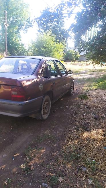 Opel Vectra: 1991 г., 1.5 л, Механика, Бензин, Седан — 4