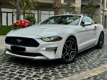 Nəqliyyat vasitəsinin icarəsi: Günlük, Hyundai, Depozitsiz — 29