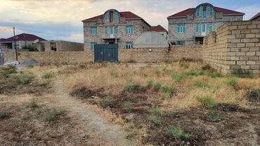 bakıda ucuz torpaq: Kənd təsərrüfatı, Mülkiyyətçi, Kupça (Çıxarış)