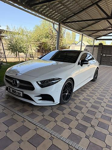 донголок 14 сешка: Mercedes-Benz CLS-Class: 2020 г., 2 л, Автомат, Дизель, Купе — 1