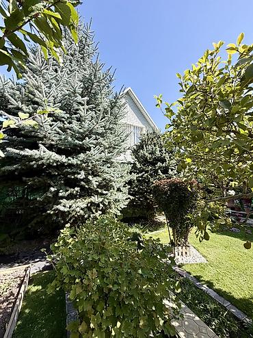 Продажа дачи: 3 комнаты, 88 м², 6 соток, Септик, Холодная вода, Электричество — 26