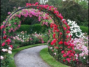 Digər metal məhsullar: Talvar .kölgəlik — 12