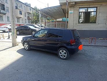 mini coper: Volkswagen Polo: 2000 г., 1.4 л, Автомат, Бензин, Хэтчбэк — 1